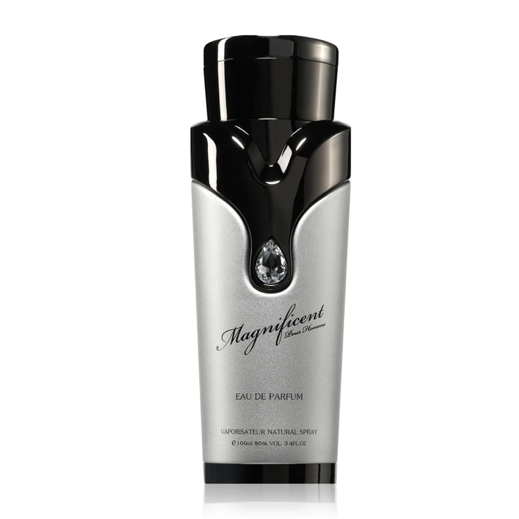 Magnificent Pour Homme by Armaf