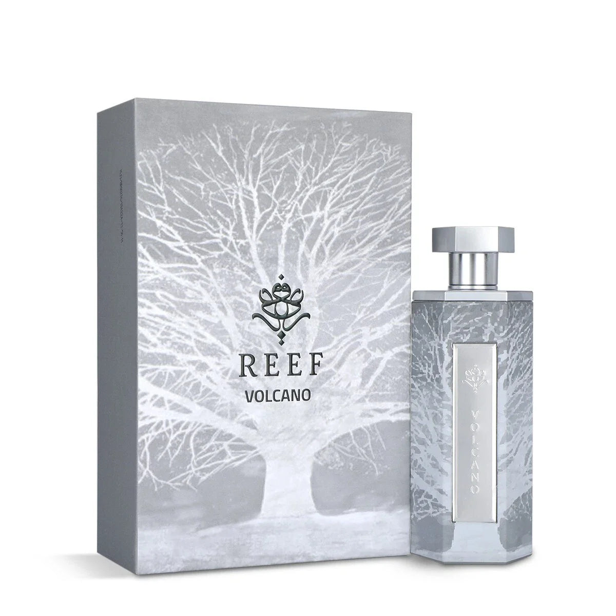 Volcano by Reef